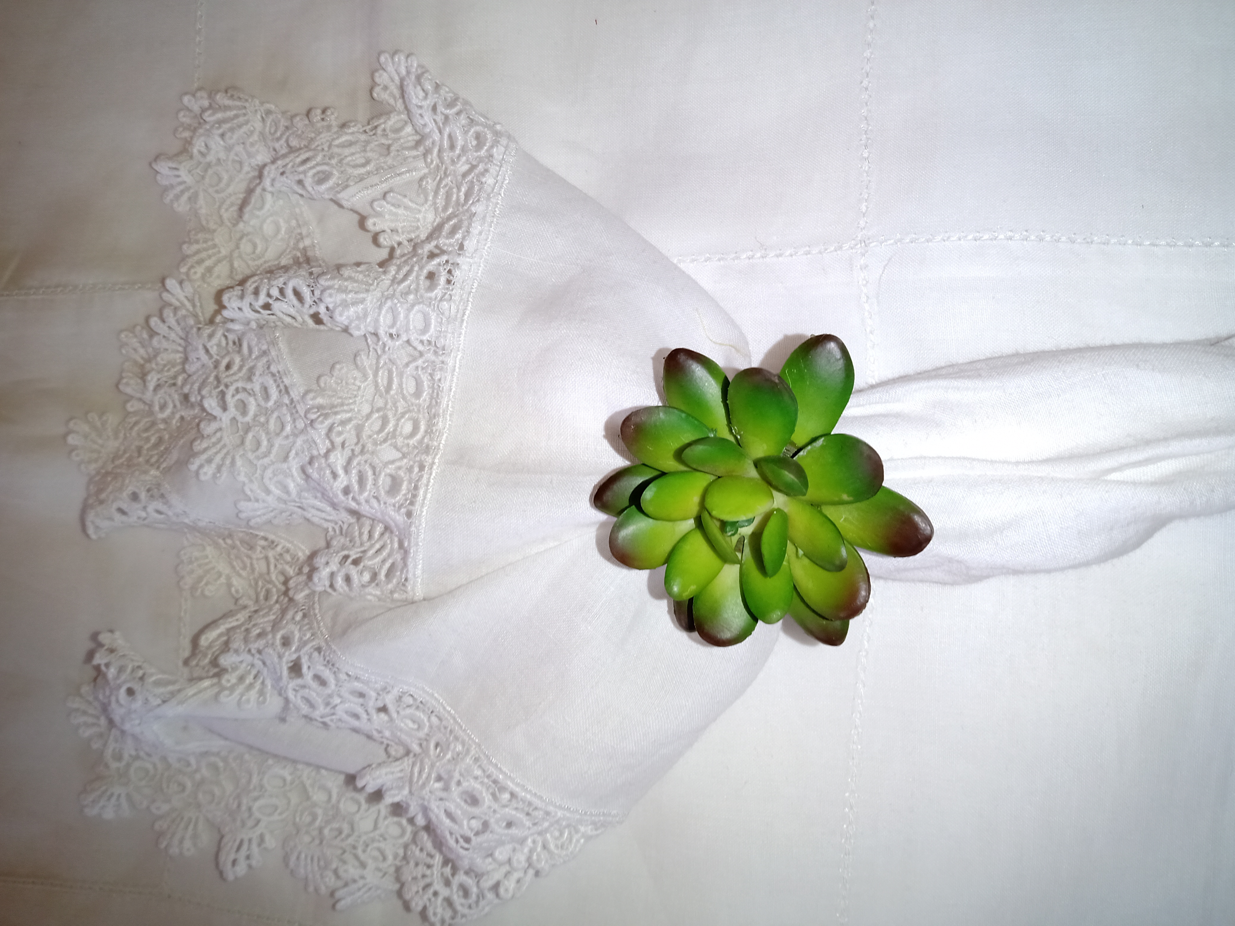 PORTA GUARDANAPO SUCULENTA